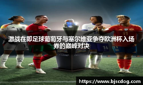 激战在即足球葡萄牙与塞尔维亚争夺欧洲杯入场券的巅峰对决